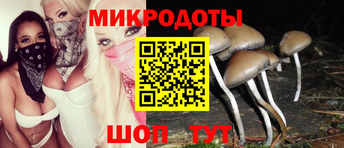 Псилоцибиновые грибы ЛСД  закладка  Старая Купавна  Вход с VPN 